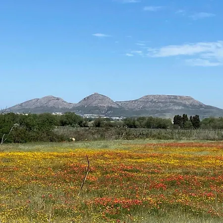 Torre Bertrana By Duquessa Collection Pals